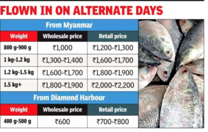 Kolkata's Off-Season Hilsa Surprise: Fresh Supply from Myanmar and Diamond Harbour