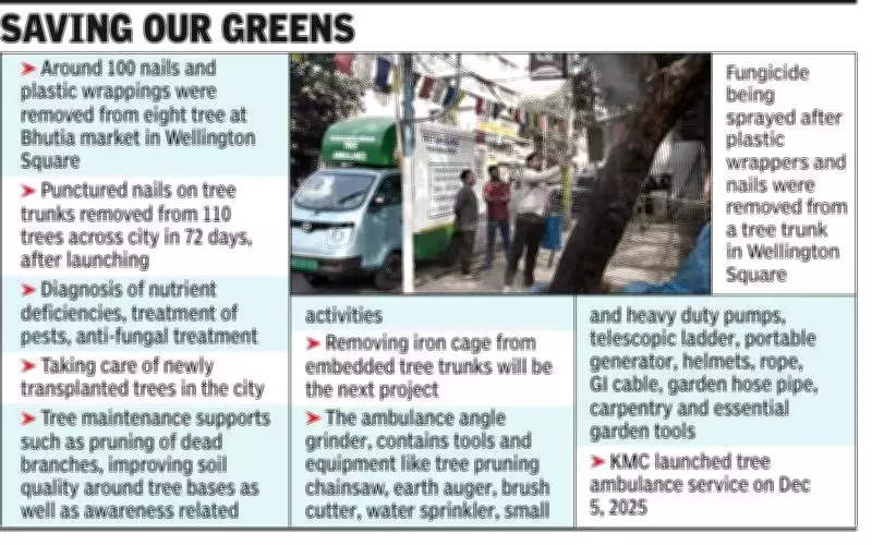 Kolkata's Tree Ambulance Removes Nails from 110 Trees in 72 Days, Treats Century-Old Specimens