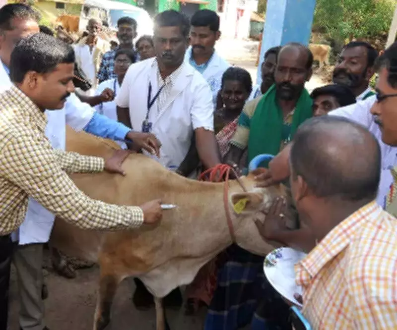 Kota Exposes Fake Animal Vaccination Entries on National Portal, Raising Fraud Concerns