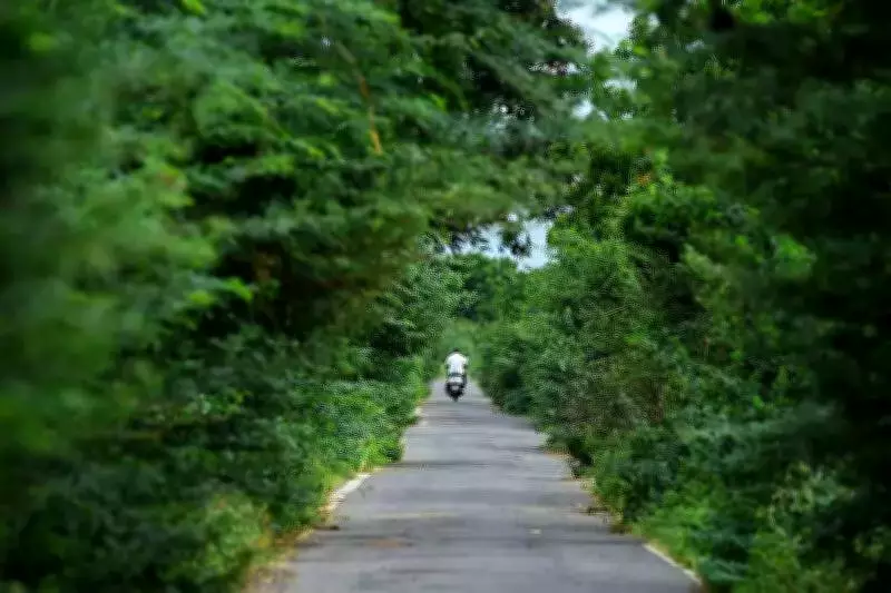 Krishna River Road in Vijayawada Becomes Hazardous Due to Sand Truck Damage