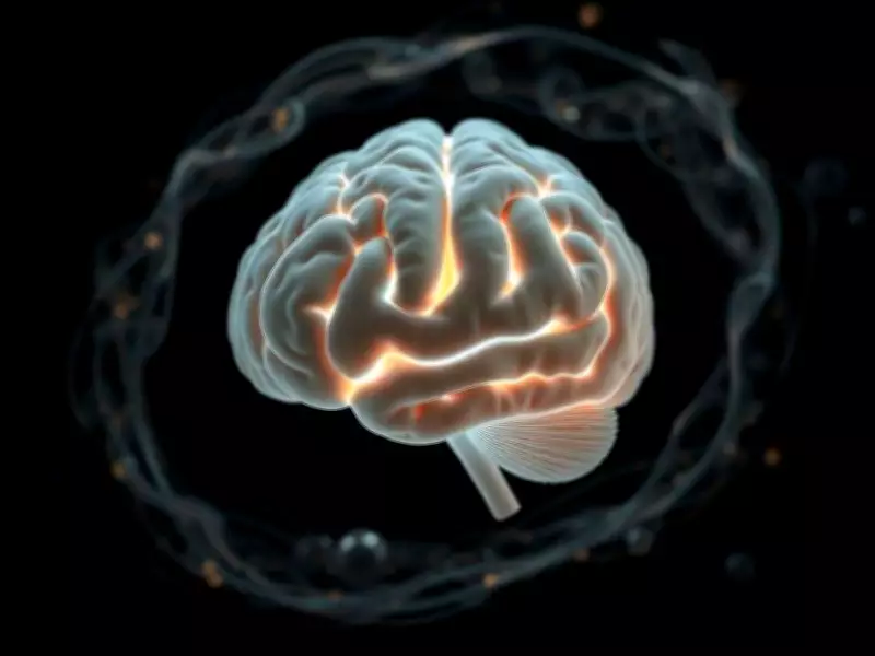 Lab-Grown Mini-Brains Develop Lifelike Blood Vessels in Scientific Breakthrough