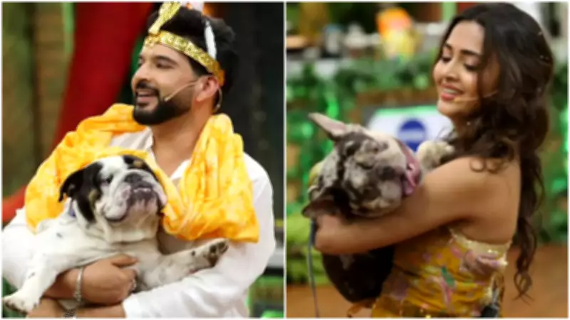 Laughter Chefs Jungle Special: Wild Cooking Chaos with Pets and Pranks