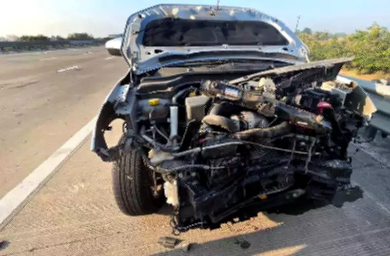 Leopard Killed in Collision on Vadodara-Mumbai Expressway, Car Damaged