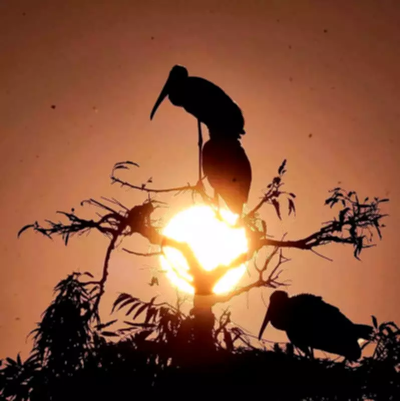 Lucknow Braces for Warmer Days with Clear Skies, Rising Temperatures