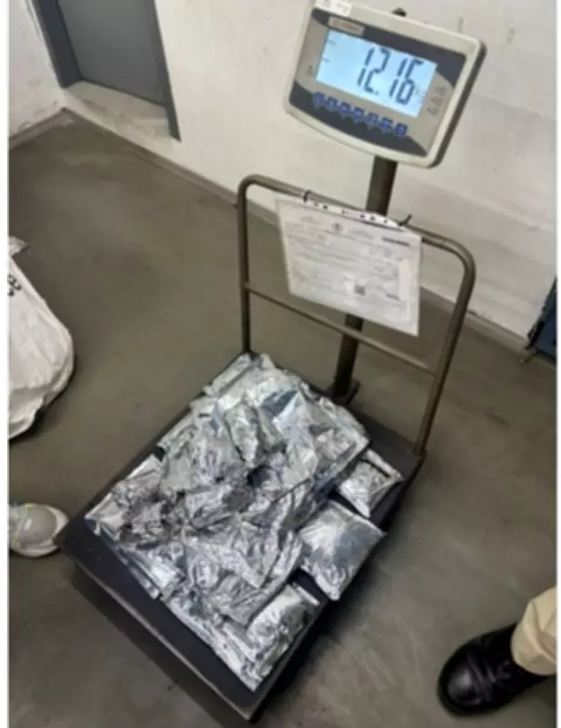 Ludhiana DRI Seizes 12kg Opium from US/Canada-Bound Parcels, 7 Arrested