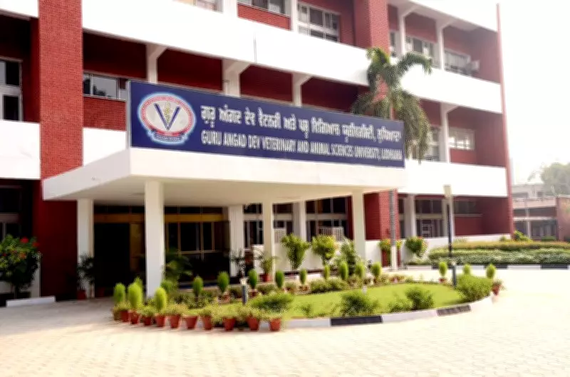 Ludhiana Vet University and NIT Collaborate on Organ-Chip to Replace Mice in Drug Research
