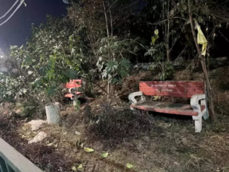 Ludhiana's Buddha Dariya Green Belt Now a Neglected, Eerie Wasteland