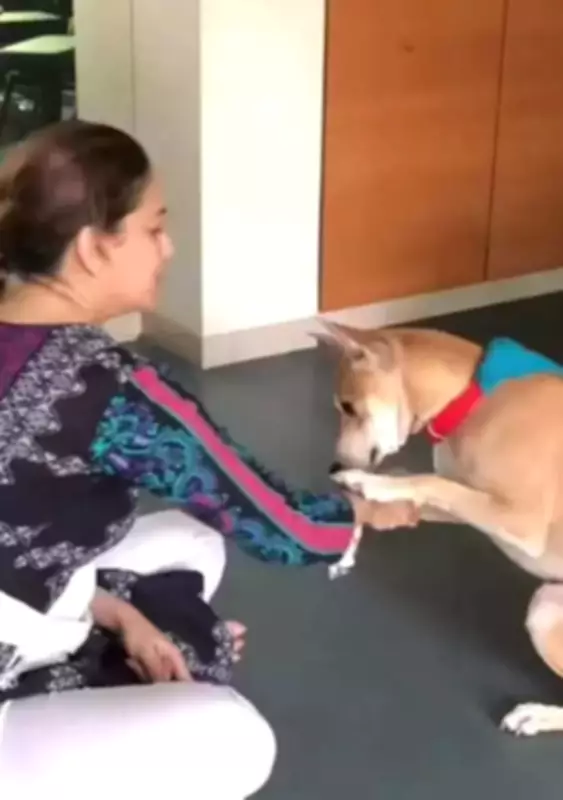 Madhuri Dixit and Dr. Shriram Nene Share Heartwarming Pet Day Montage