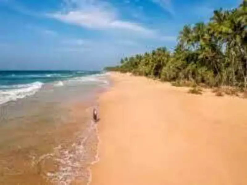 Madras HC Dismisses Plea for Fishermen to Use Fibre Boats for Katchatheevu Festival