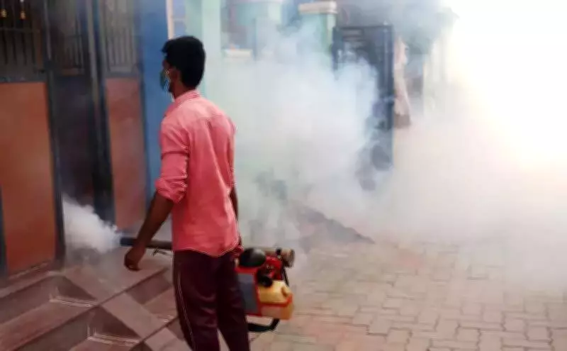 Madurai Corporation Hires 530 Contract Workers to Combat Mosquito-Borne Diseases
