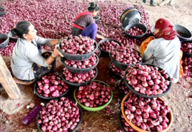 Maharashtra CM Fadnavis Pledges Financial Aid for Nashik Onion Farmers Amid Price Crisis