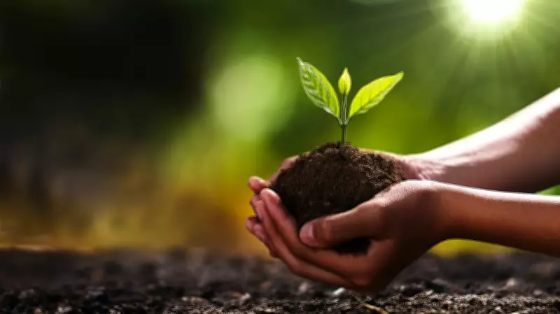 Maharashtra Launches Ambitious 300 Crore Tree Plantation Drive Over Five Years