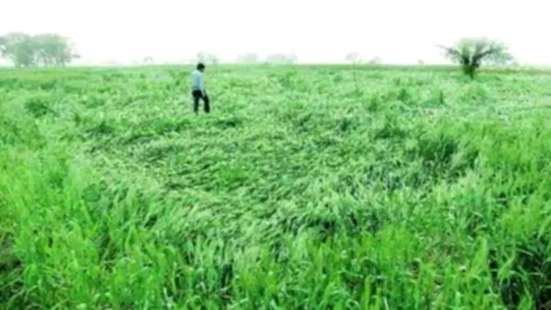 Maharashtra Launches 'Bhu-Aadhaar' Drive to Digitize Agricultural Land Records