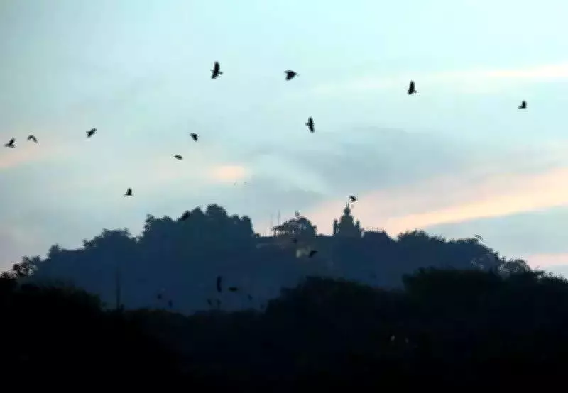 Maharashtra Records Temperature Dip as IMD Forecasts Stable Week Ahead