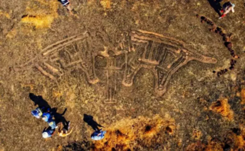 Maharashtra Sanctions Rs 15 Crore for World Heritage Desk to Protect Konkan Petroglyphs