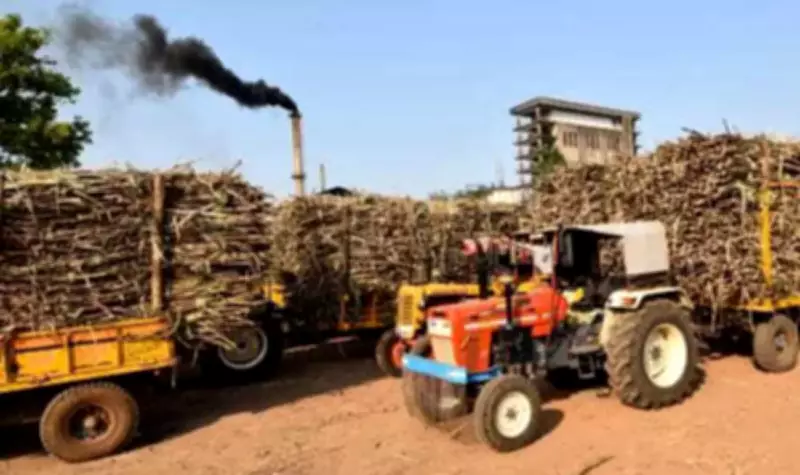 Maharashtra Sugar Mills Face Rs 1,860 Crore FRP Dues Deadline Amid Crushing Season End