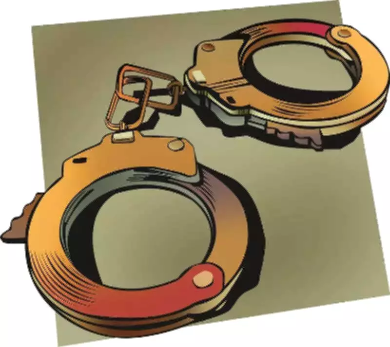 Maharashtra Women's Commission Probes Illegal Egg Extraction Racket in Badlapur