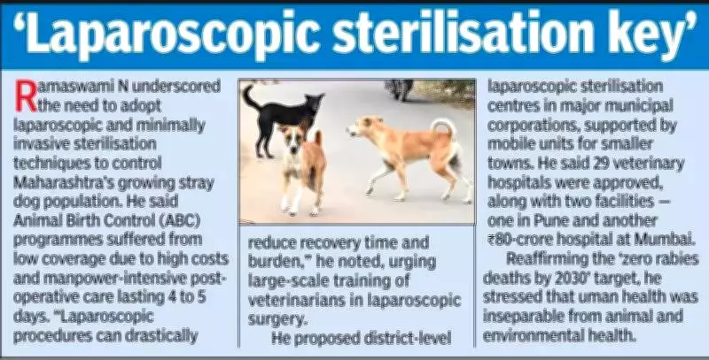 Maharashtra's Stray Dog Crisis: 17 Lakh Strays, 9.7 Lakh Bites Annually