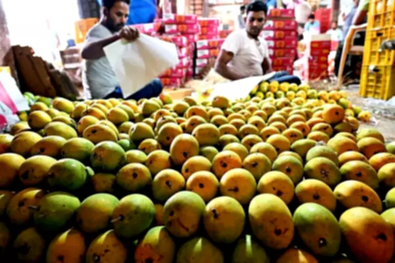 Maharashtra's US Agri-Exports Plunge 26.6% Amid Tariff Hikes, Nashik Hit Hard