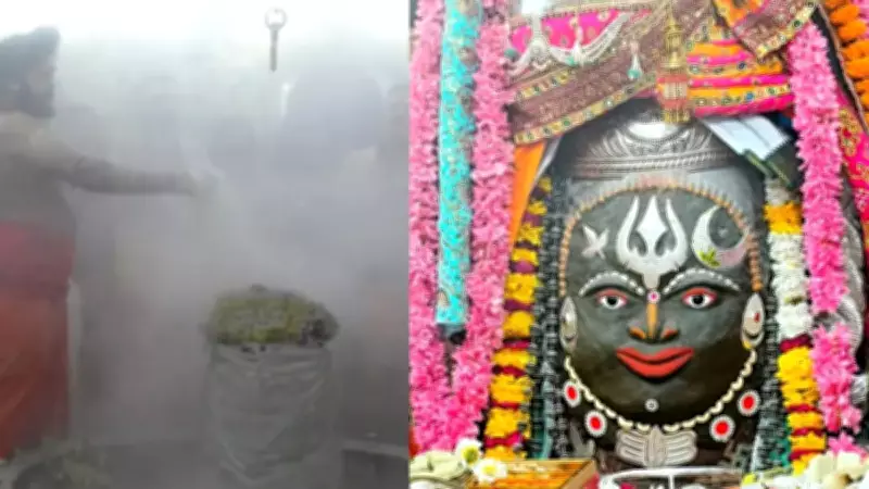 Mahashivratri 2026: 'Bam Bam Bhole' Echoes Across India as Devotees Throng Temples