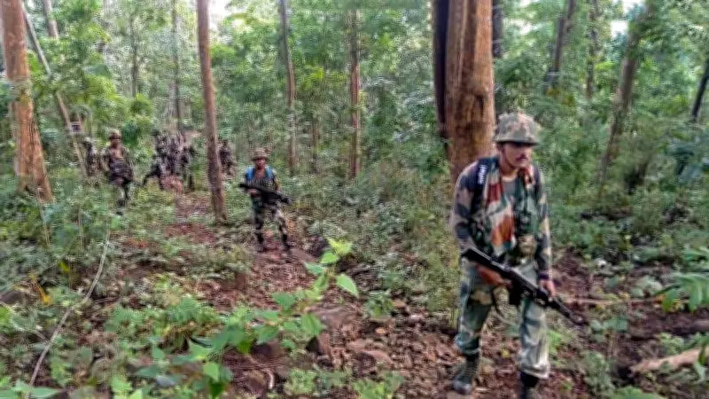 Major Maoist Encounter in Maharashtra: 7 Naxalites, Top Leader with Rs 25L Bounty Killed