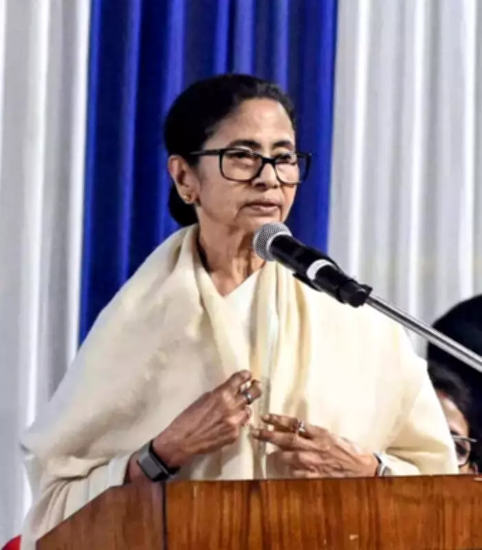 Mamata Banerjee Slams Union Budget as 'Humpty Dumpty', Claims Bengal Ignored