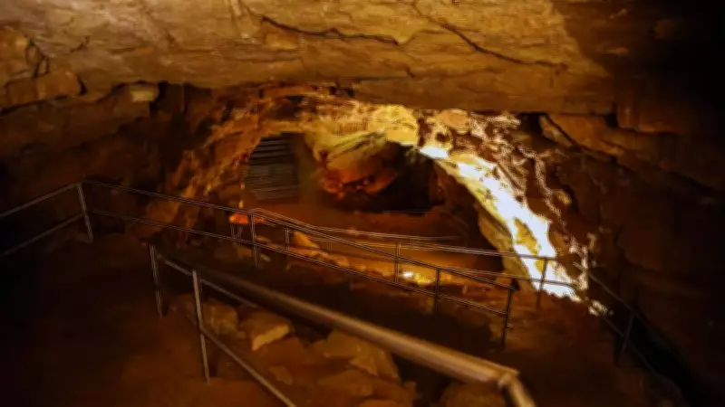 Mammoth Cave's Hidden World: Prehistoric Sharks to Mineral Flowers
