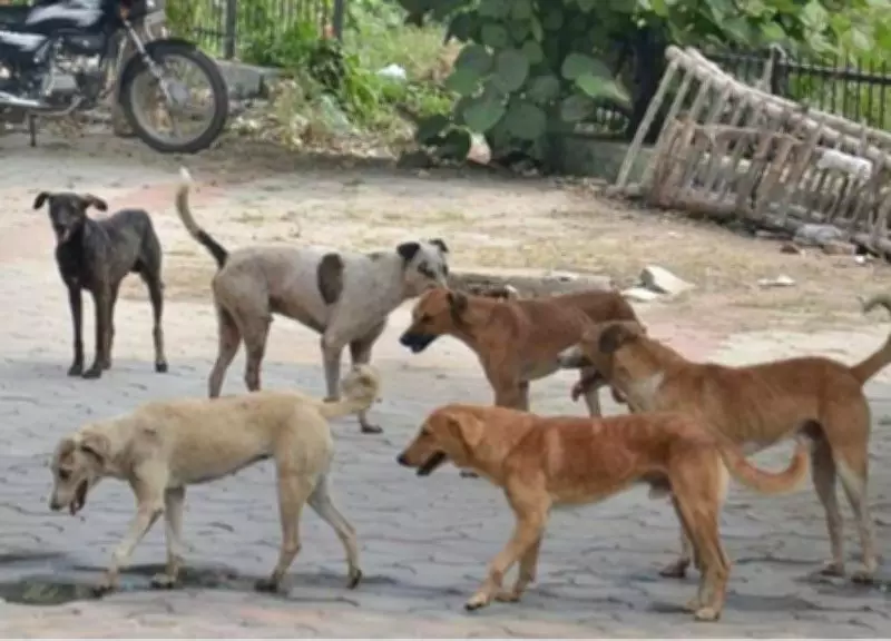 Man Ends Life in Thane District Over Rabies Infection Fear, Police Probe Underway