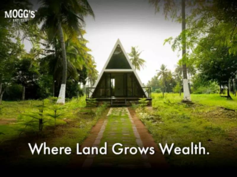 Managed Farmland in Karnataka: The New Smart Asset Class for Investors