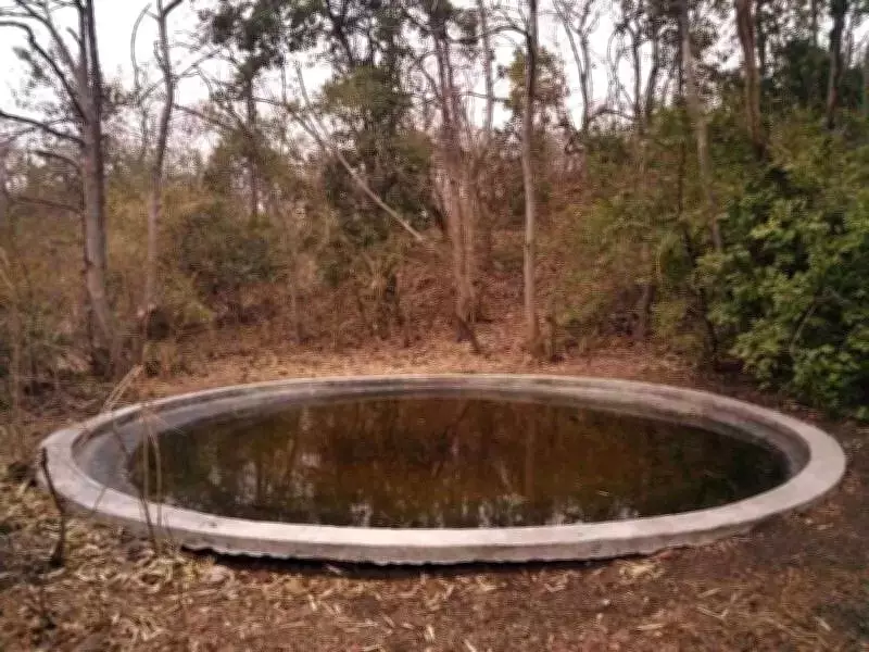 Marathwada Wildlife Sanctuaries Face Water Crisis as Summer Temperatures Soar