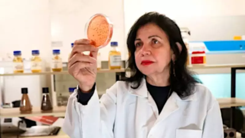 Mariangela Hungria's Soil Bacteria Research Wins World Food Prize, Transforms Agriculture