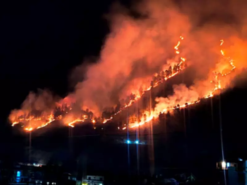 Massive Forest Fire Engulfs Kullu's Bijli Mahadev Area, Threatens Sacred Site