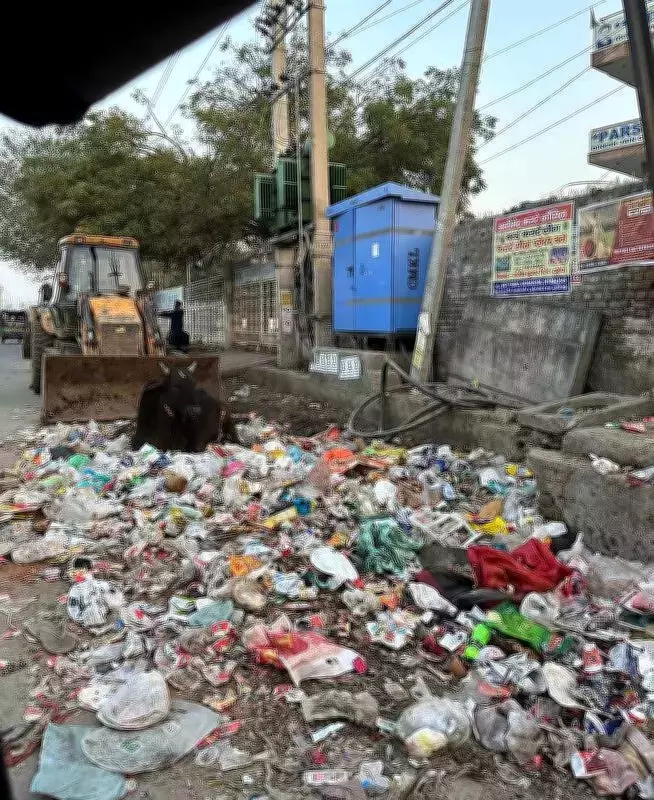 MCG Establishes Sanitation Monitoring Cells in All Gurgaon Zones