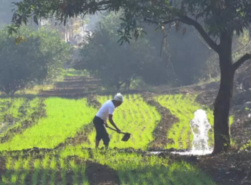 Mega Watershed Project in Nanded Aims to Double Farmer Income Across 5 Districts