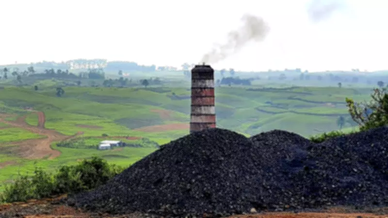 Meghalaya High Court Summons Officials Over Illegal Mine Blast Deaths