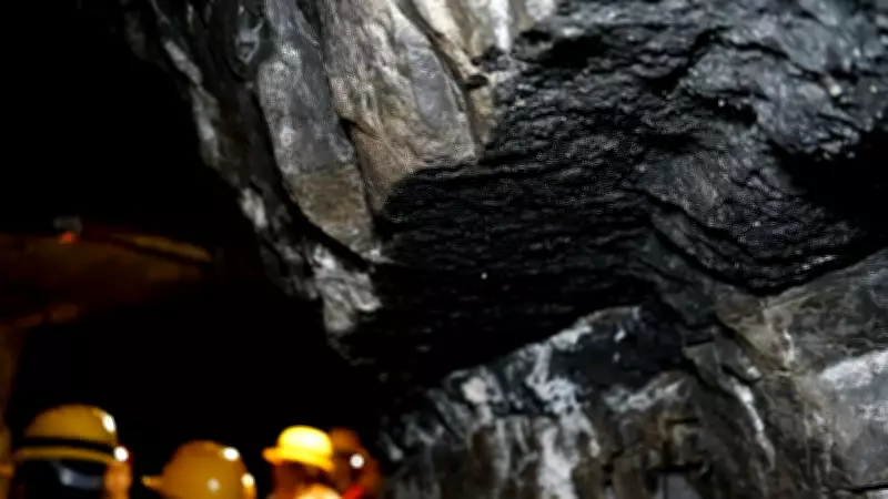 Meghalaya Rat-Hole Mine Explosion: 7 Dead, Many Feared Trapped in Illegal Operation