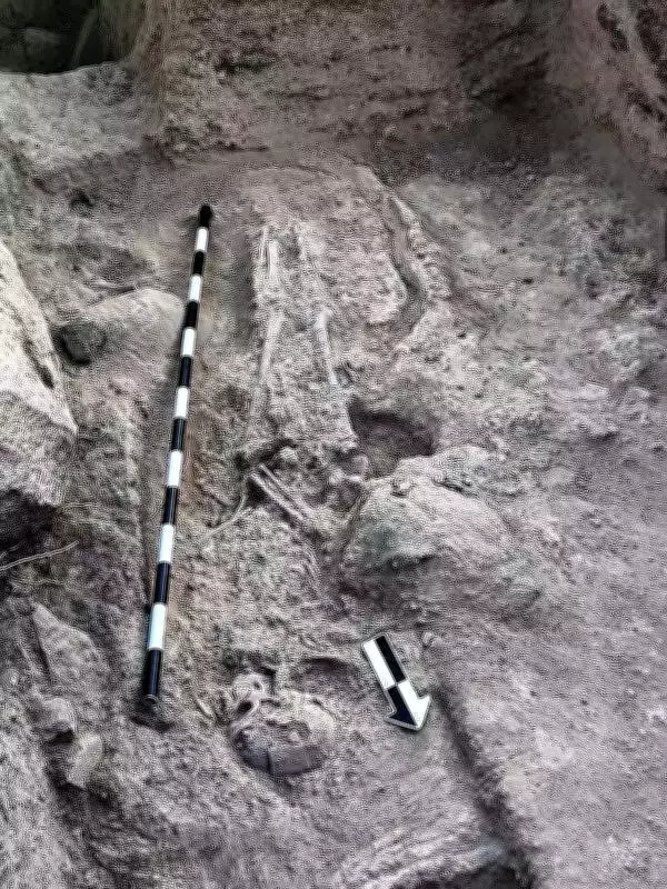Mesolithic Skeleton Discovery Elevates Tekkalakote's Archaeological Significance