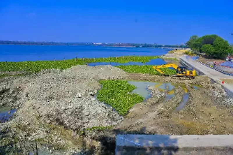 Migratory Birds Spread Invasive Water Hyacinth in Nagpur Lakes, Threatening Ecology