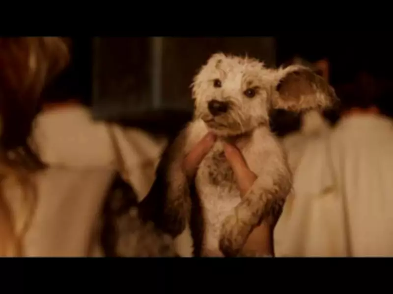 Milly Alcock Stars in 'Supergirl' Official Teaser, Directed by Craig Gillespie