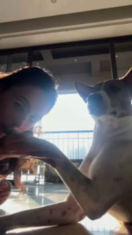 Mimi Chakraborty Shares Heartwarming Moments with Her Beloved Pets