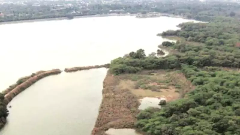 Mohali MC Intensifies Anti-Encroachment Drive, Removes 60 Illegal Structures in Phase 2