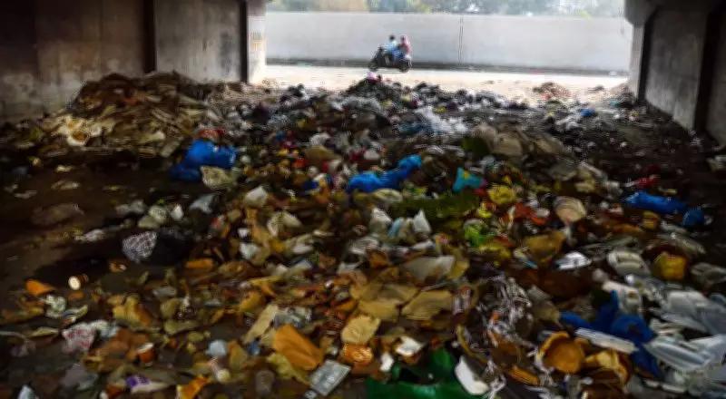 Mounting Garbage Crisis in Ludhiana Sparks Public Outcry and Health Concerns