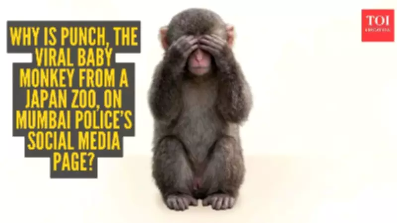 Mumbai Police Uses Viral Baby Monkey 'Punch' to Promote 112 Emergency Helpline