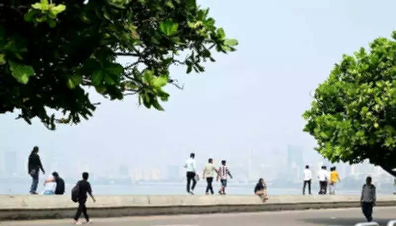 Mumbai's Hot & Humid Spell to Continue Till Feb 4, IMD Predicts Temperature Dip