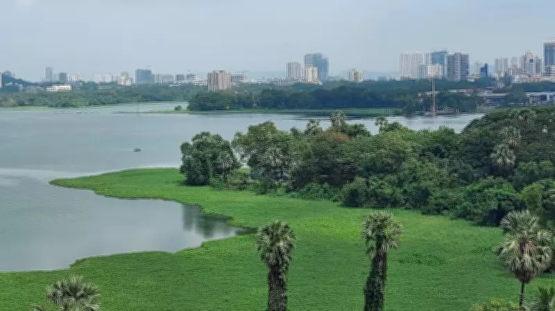 Mumbai's Powai Lake Clean-Up Sparks Tree Removal Concerns Among Environmentalists