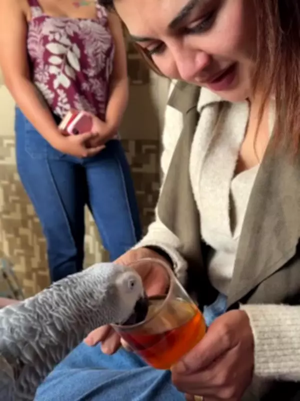 Musical Extravaganza: Timeless Classics and Soulful Performances Captivate Audiences