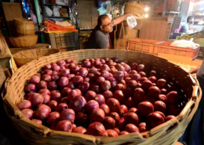Mysuru's Sambar Onion Crisis: Cultivation Plummets as Farmers Face Price Collapse
