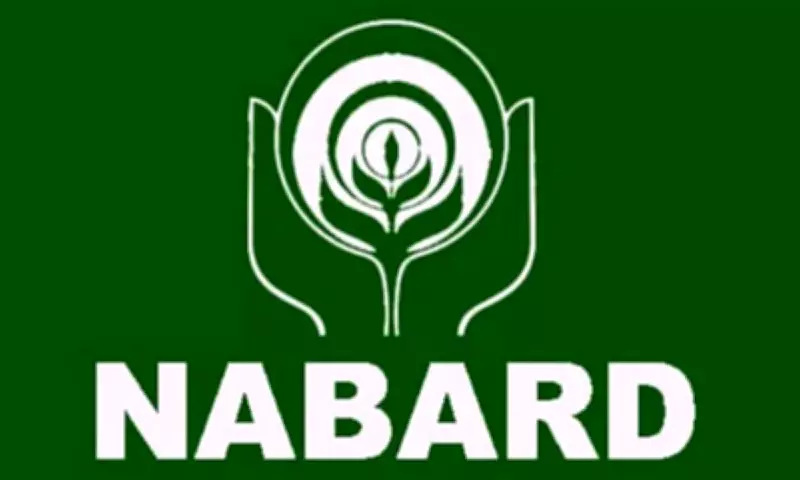 NABARD Grade A Mains Result 2026 Declared: Check Qualifying Status Online