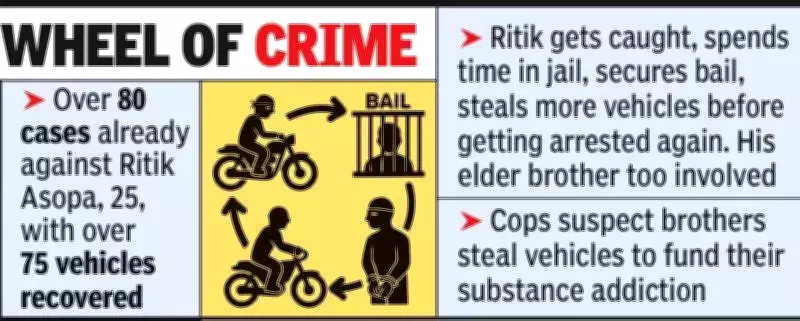 Nagpur Brothers' Endless Cycle: 80+ Cases, Jail-Bail-Theft Loop Continues