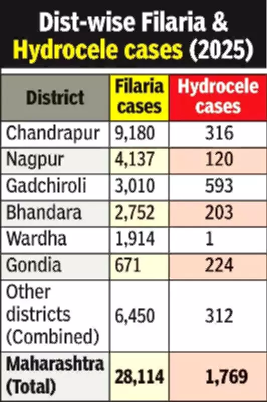 Nagpur Division Bears 75% of Maharashtra's Filaria Burden, Chandrapur Worst Hit